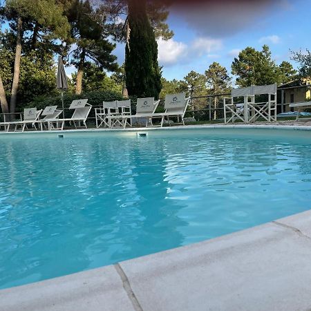 Tuscany Relax H&H - Helly House Apartment San Vivaldo Exterior photo