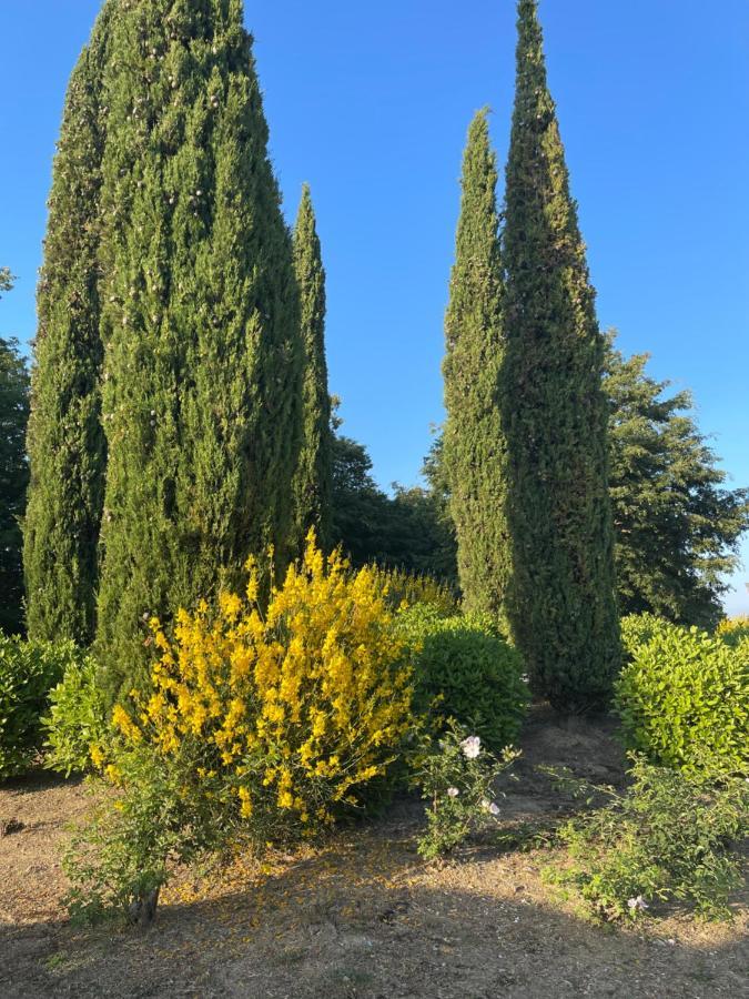Tuscany Relax H&H - Helly House Apartment San Vivaldo Exterior photo